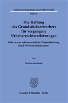 Markus Steinbock - Die Haftung des Grundstückserwerbers für vergangene Urheberrechtsverletzungen.