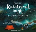 Dagmar Falcke, Heino Falcke, Andreas Fröhlich - Kekskrümel im All. Wie groß ist die Unendlichkeit?, 1 Audio-CD (Audio book)