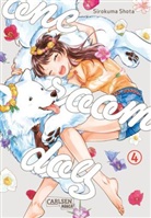 Sirokuma Shota - One Room Dog 4
