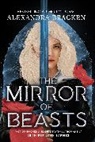 Alexandra Bracken, Bracken Alexandra - Silver in the Bone: The Mirror of Beasts