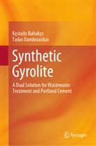 K¿stutis Baltakys, Kestutis Baltakys, Tadas Dambrauskas - Synthetic Gyrolite
