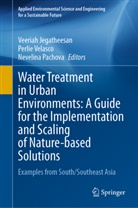 Veeriah Jegatheesan, Nevelina Pachova, Perlie Velasco - Water Treatment in Urban Environments: A Guide for the Implementation and Scaling of Nature-based Solutions