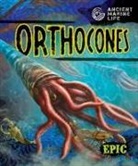 Kate Moening - Orthocones
