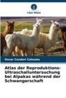 Oscar Condori Cahuata - Atlas der Reproduktions-Ultraschalluntersuchung bei Alpakas während der Schwangerschaft