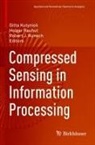 Robert J Kunsch, Robert J. Kunsch, Gitta Kutyniok, Holger Rauhut - Compressed Sensing in Information Processing