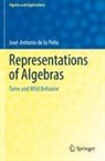 José-Antonio de la Peña - Representations of Algebras