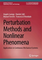 Francesco D¿Annibale, Francesco D’Annibale, Francesco D'Annibale, Manuel Ferretti, Manuel et Ferretti, Angelo Luongo... - Perturbation Methods and Nonlinear Phenomena