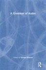 Kristen (The University of Texas At Austi Brustad, Kristen Brustad, Brustad Kristen - Grammar of Arabic