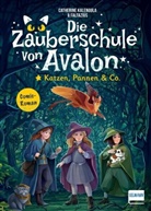 Catherine Kalengula, Faltazius - Die Zauberschule von Avalon - Katzen, Pannen & Co.
