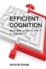 Armin W Schulz, Armin W. Schulz - Efficient Cognition