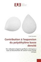 Linda Gouissem - Contribution à l'expansion du polyéthylène basse densité