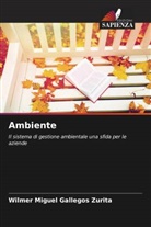 Wilmer Miguel Gallegos Zurita - Ambiente