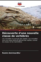 Ramin Amirmardfar - Découverte d'une nouvelle classe de vertébrés