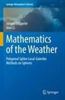 Jinxi Li, Jürgen Steppeler - Mathematics of the Weather