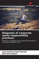 José Raul Amaya, Juan Camilo Urrego Salcedo - Diagnosis of corporate social responsibility practices