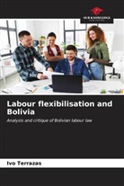 Ivo Terrazas - Labour flexibilisation and Bolivia