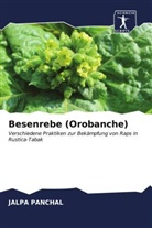 JALPA PANCHAL - Besenrebe (Orobanche)