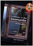 Axel Sallmann - Einblicke in die Geomantie - Das Einsteigerbuch