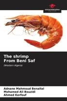 Mohamed Ali Bouzidi, Ahmed Kerfouf, Adnane Mahmoud Benallal - The shrimp From Beni Saf