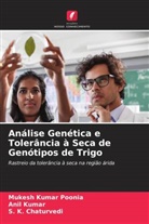 S. K. Chaturvedi, Anil Kumar, Mukesh Kumar Poonia - Análise Genética e Tolerância à Seca de Genótipos de Trigo