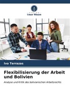 Ivo Terrazas - Flexibilisierung der Arbeit und Bolivien