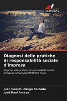 José Raul Amaya, Juan Camilo Urrego Salcedo - Diagnosi delle pratiche di responsabilità sociale d'impresa