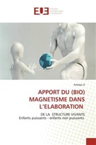 Amiépo D - L'AIMANT ET SES PROPRIETES