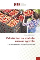 Mohamed Elkhabachy - Valorisation du stock des encours agricoles