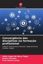 Javier Carreón, Cruz García Lirios, Sofía López de Nava Tapia - Convergência das disciplinas na formação profissional