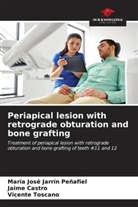 Jaime Castro, María José Jarrín Peñafiel, Vicente Toscano - Periapical lesion with retrograde obturation and bone grafting