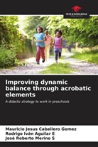 Rodrigo Iván Aguilar E, Mauricio Jesus Caballero Gomez, José Roberto Merino S - Improving dynamic balance through acrobatic elements