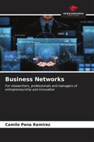 Camilo Peña Ramírez - Business Networks