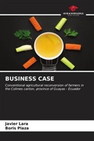 Javier Lara, Boris Plaza - BUSINESS CASE