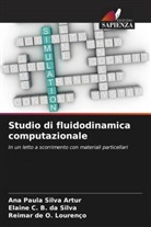 Elaine C. B. da Silva, Reimar de O. Lourenço, Ana Paula Silva Artur - Studio di fluidodinamica computazionale