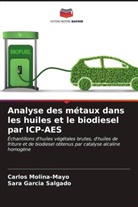 Sara García Salgado, Carlos Molina-Mayo - Analyse des métaux dans les huiles et le biodiesel par ICP-AES