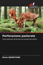 Denis DJONGYANG - Perforazione pastorale