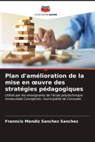 Franncis Mendiz Sanchez Sanchez - Plan d'amélioration de la mise en oeuvre des stratégies pédagogiques