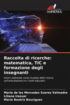 María Beatriz Bouciguez, Liliana Irassar, María de las Mercedes Suarez Valmadre - Raccolta di ricerche: matematica, TIC e formazione degli insegnanti