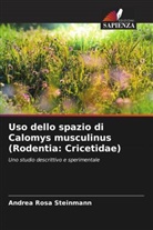 Andrea Rosa Steinmann - Uso dello spazio di Calomys musculinus (Rodentia: Cricetidae)