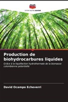 David Ocampo Echeverri - Production de biohydrocarbures liquides