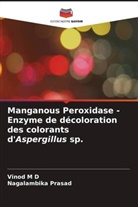 Vinod M D, Nagalambika Prasad - Manganous Peroxidase - Enzyme de décoloration des colorants d'Aspergillus sp.