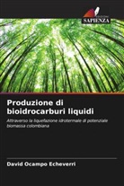 David Ocampo Echeverri - Produzione di bioidrocarburi liquidi