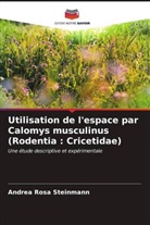 Andrea Rosa Steinmann - Utilisation de l'espace par Calomys musculinus (Rodentia : Cricetidae)