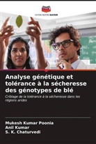 S. K. Chaturvedi, Anil Kumar, Mukesh Kumar Poonia - Analyse génétique et tolérance à la sécheresse des génotypes de blé
