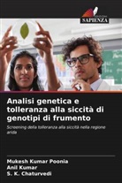 S. K. Chaturvedi, Anil Kumar, Mukesh Kumar Poonia - Analisi genetica e tolleranza alla siccità di genotipi di frumento