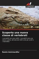 Ramin Amirmardfar - Scoperta una nuova classe di vertebrati
