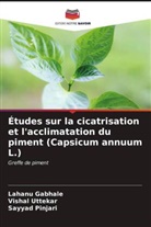 Lahanu Gabhale, Sayyad Pinjari, Vishal Uttekar - Études sur la cicatrisation et l'acclimatation du piment (Capsicum annuum L.)