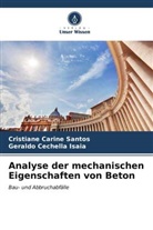 Geraldo Cechella Isaia, Cristiane Carine Santos - Analyse der mechanischen Eigenschaften von Beton