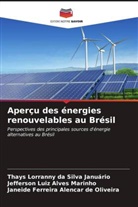 Thays Lorranny Da Silva Januário, Jefferson Luiz Alves Marinho, Janeide Ferreira Alencar de Oliveira - Aperçu des énergies renouvelables au Brésil