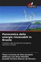 Thays Lorranny Da Silva Januário, Jefferson Luiz Alves Marinho, Janeide Ferreira Alencar de Oliveira - Panoramica delle energie rinnovabili in Brasile